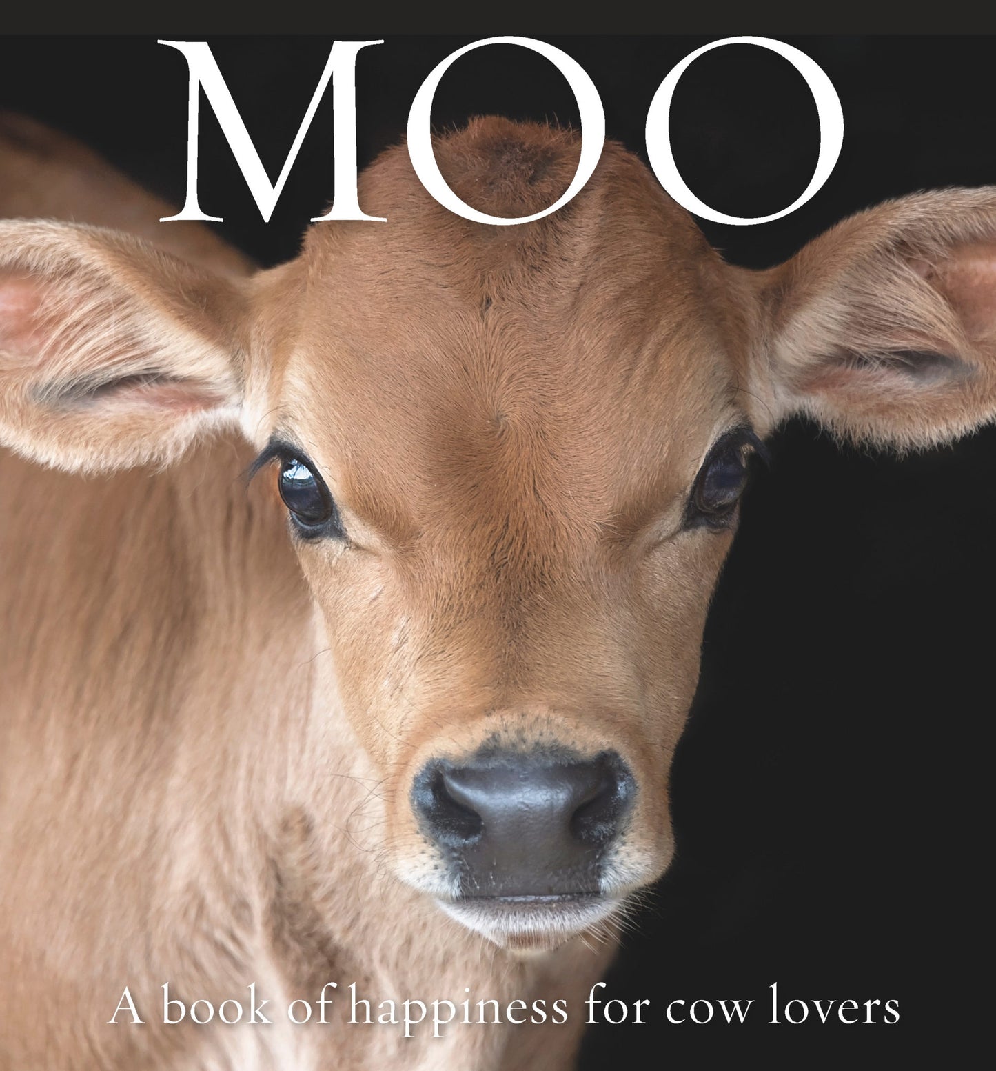 Moo: A book of fun for cow lovers