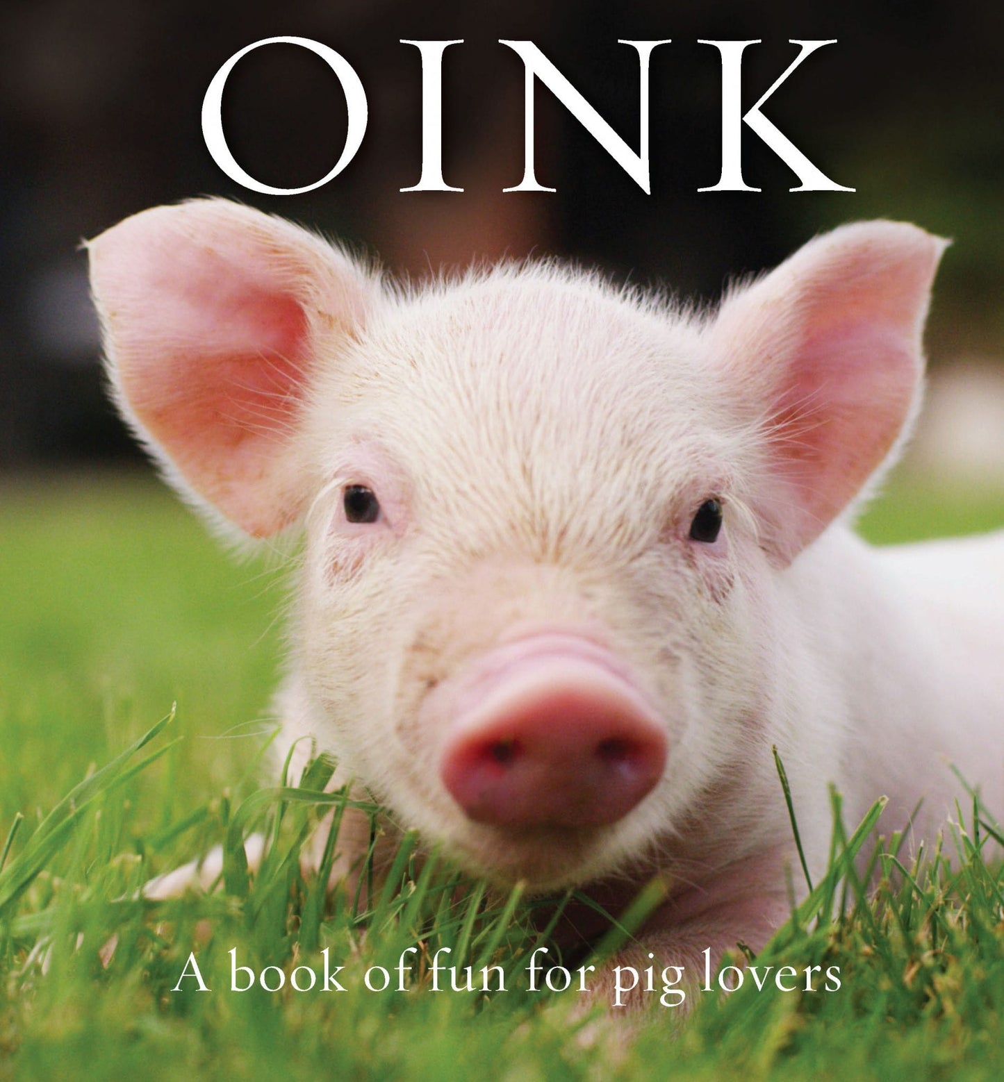 Oink: A book of fun for pig lovers